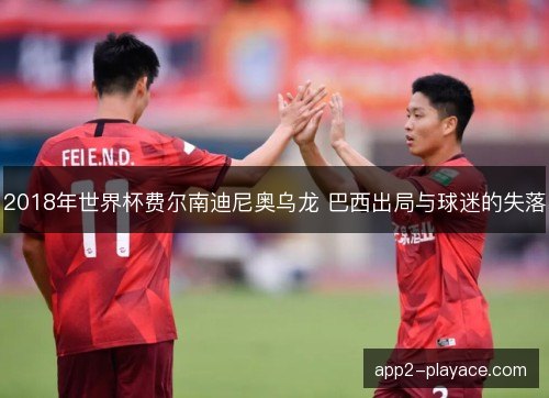 2018年世界杯费尔南迪尼奥乌龙 巴西出局与球迷的失落